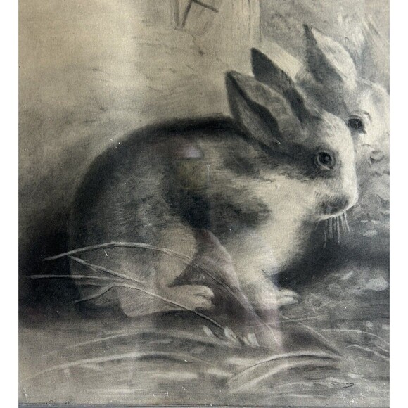 Vintage 1895 Bunny Rabbit Charcoal Crayon Drawing Framed Art Cottage Decor - Picture 3 of 9